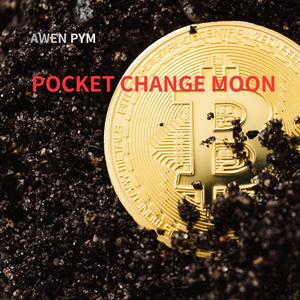 POCKET CHANGE MOON