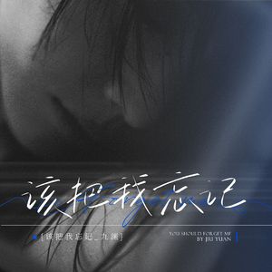 该把我忘记