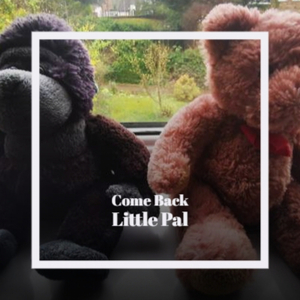 Come Back to me Darlin'