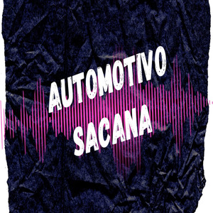AUTOMOTIVO SACANA