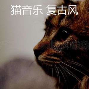 精彩睡猫环境