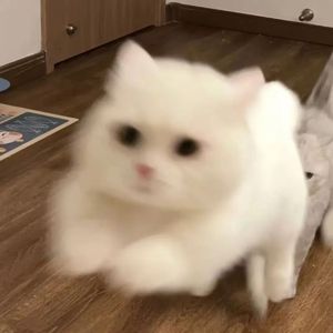 时光里的暖调