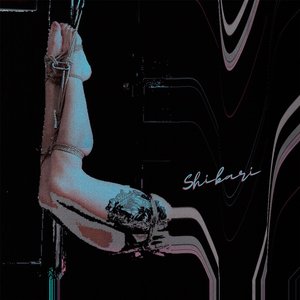 Shibari