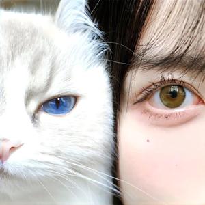 追逐阿航 (钢琴纯享版)