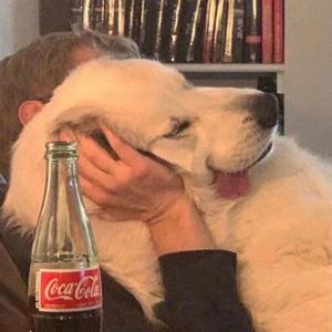 南风北巷(cover解忧邵帅)