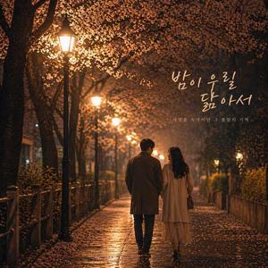밤이 우릴 닮아서