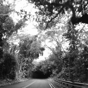 I Want to Die in Your Arms