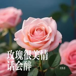 玫瑰很美情话会醉