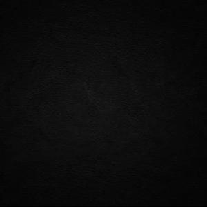 一刹那栩栩缕影浮光映宫阙