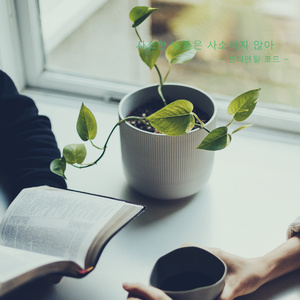 사소한 날들은 사소하지 않아