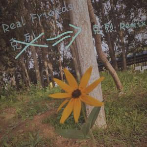 Camila Cabello-Real Friends(Bootleg reimx)（克烈 remix）