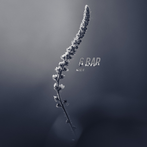 6 Bar