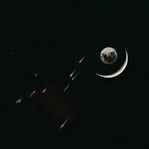 阿尔茨海默的爱