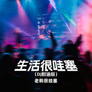 生活很哇塞 (DJ默涵版伴奏)