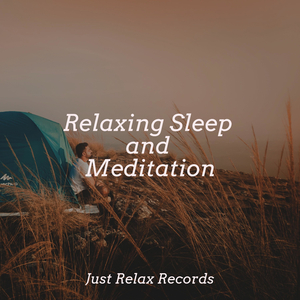 Scarlet Starburst Emergence