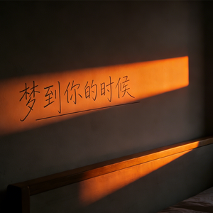 梦到你的时候