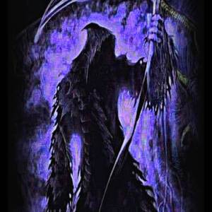 Caçadores do Iraque