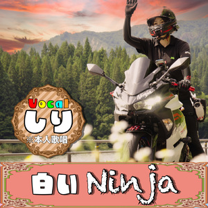 白いNinja