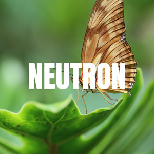 NEUTRON