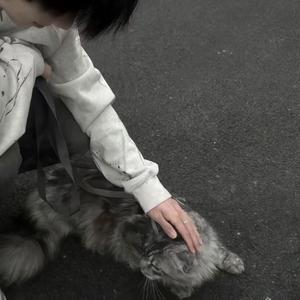 你能一直不走吗