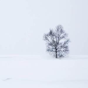 人间暮雪