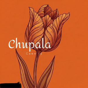 Chupala