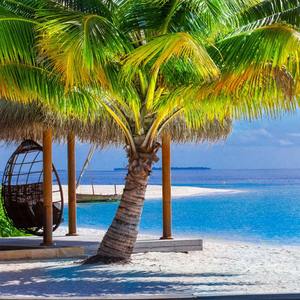 AcesToAces-AcesToAces-Palm trees&Mangoes(DJGeorge remake)（DJGeorge Remix）