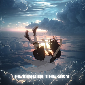 Flying In The Sky