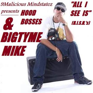 All I See Is Bish's (feat. BigTyme Mike & HoodBosses)