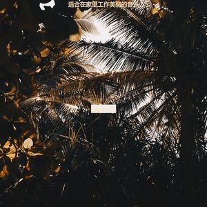 适合办公事务温和的音乐