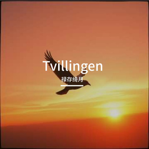 Tvillingen