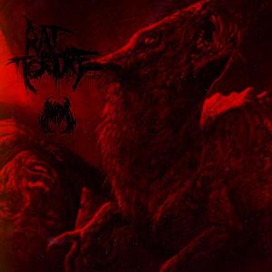 RAT TORTURE