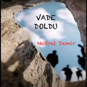 Vade Doldu