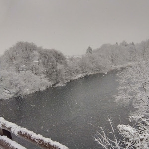 The Path to Live (feat. 初音ミク) [Orijinal Version]