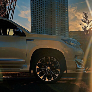 Фонтанчик с чёрным дельфином