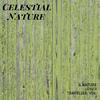 Steady Flames Nature Music - The Gurling Audio