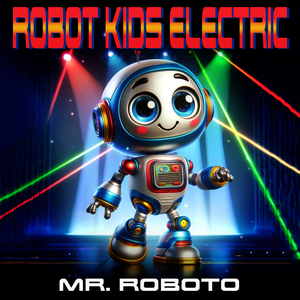Mr Roboto
