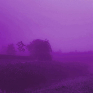 vicious circle (sped up)