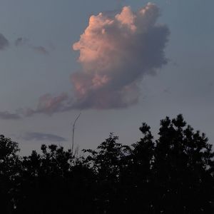 星期一的夜晚