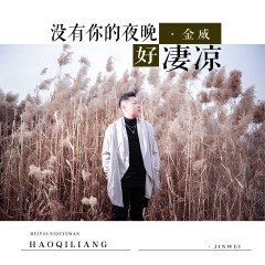 没有你的夜晚好凄凉