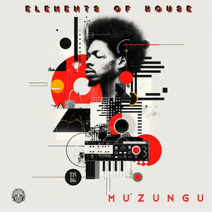 Elements Of House (Instrumental Mix)