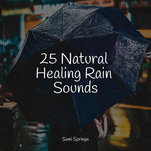 Sounds of Rain and Thunder