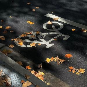 秋风（烦忧全部离开我）