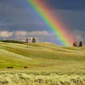 Hazel's Song (The Day She Was Born) (Instrumental) (Instrumental)