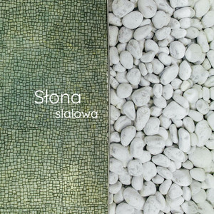 Słona slalowa