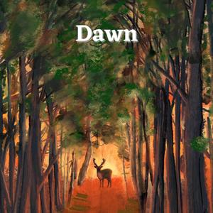 Dawn