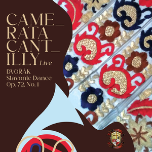 Slavonic Dances, Op. 72, B. 147: I. Odzemek (Live in Kutina 2019)