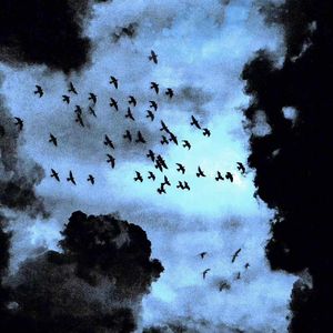 Don't **** with me(Prod by 10Ri)