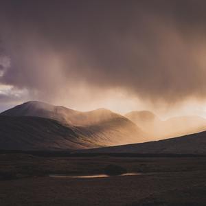 Magnificent Secret Forest