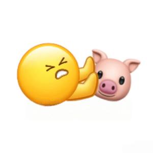 夏天的风cover温岚.mp3